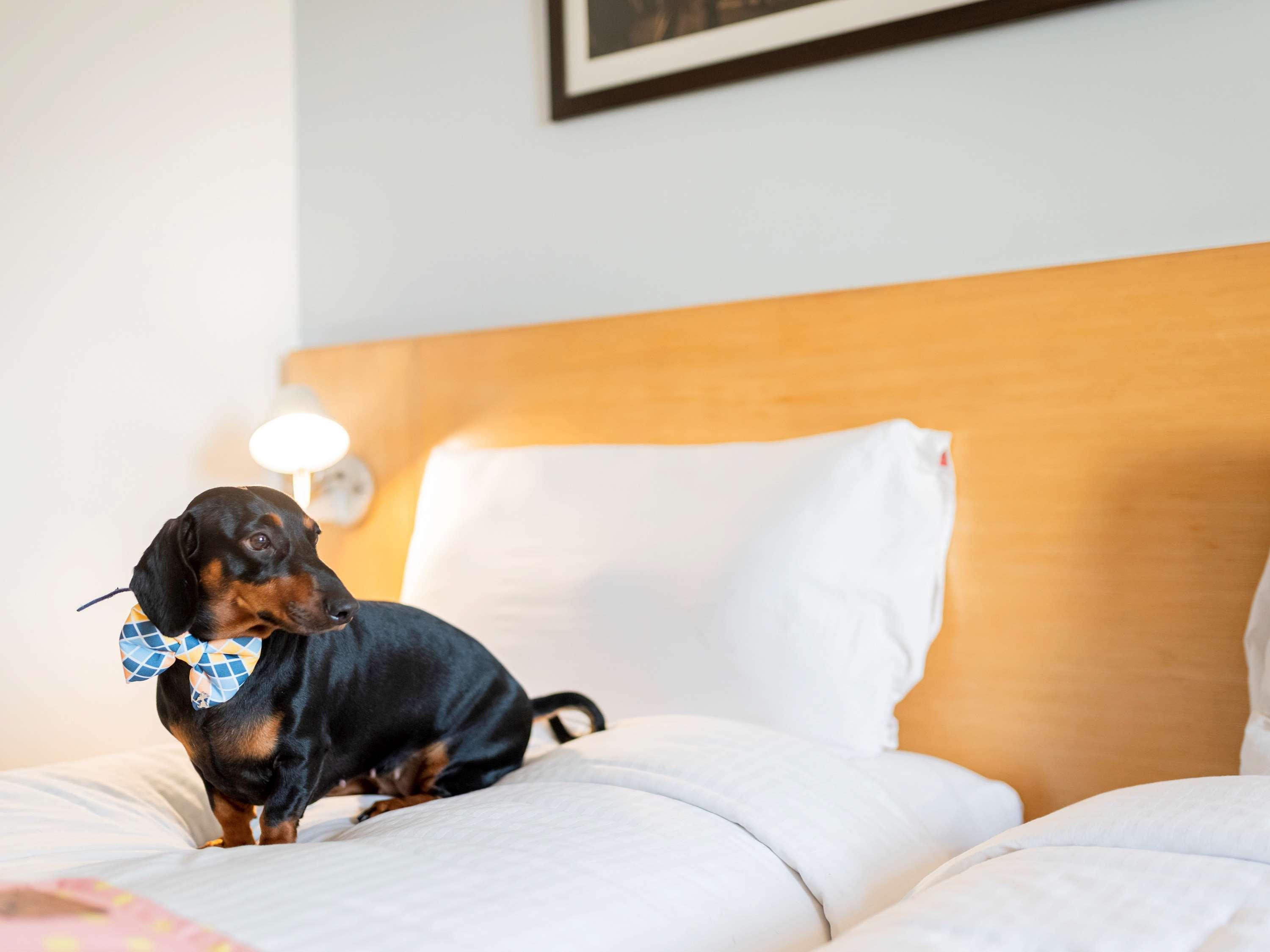 Ibis Chennai City Centre - An Accor Brand Екстериор снимка